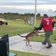 Illustration for article titled US Navy to Investigate Video of a Kaepernick Stand-In Being Used in an Attack Dog Demonstration at Navy SEALS Museum